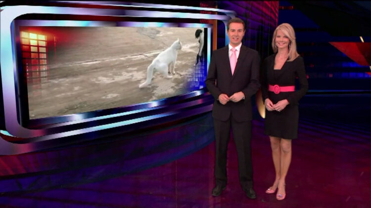 diane mcinerney feet 4