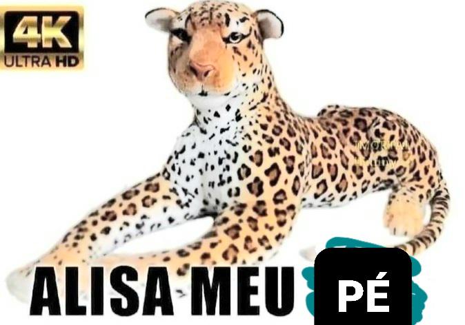 diovana konigsreuter feet 5