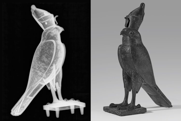 divine falcon feet 2