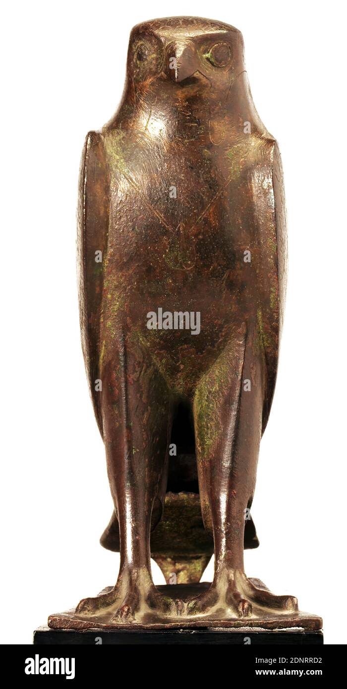 divine falcon feet 6