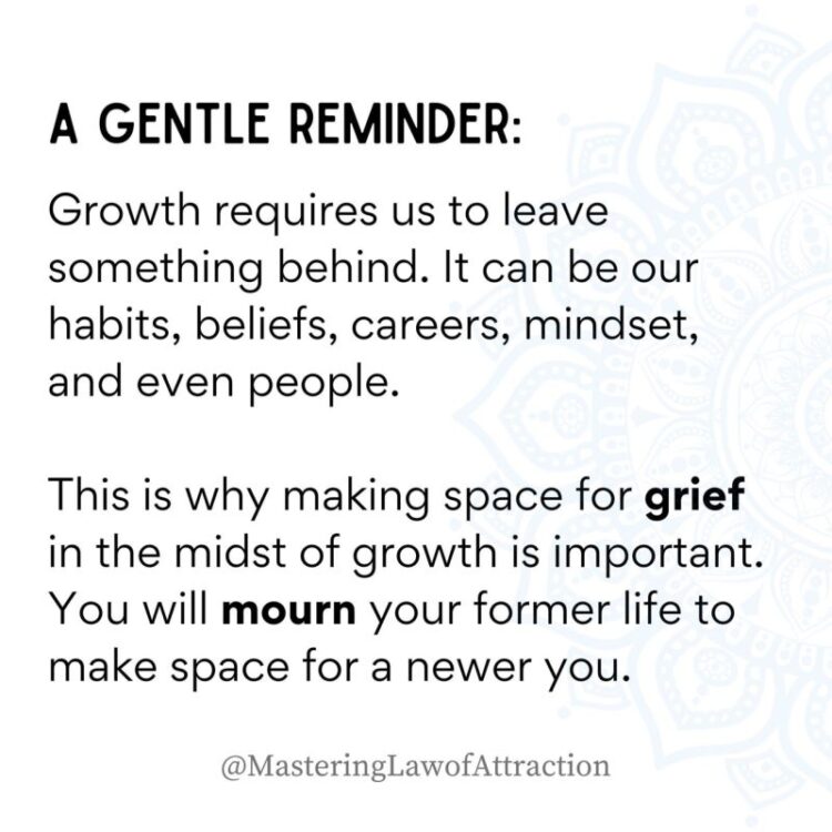 doaa el hussien feet 6