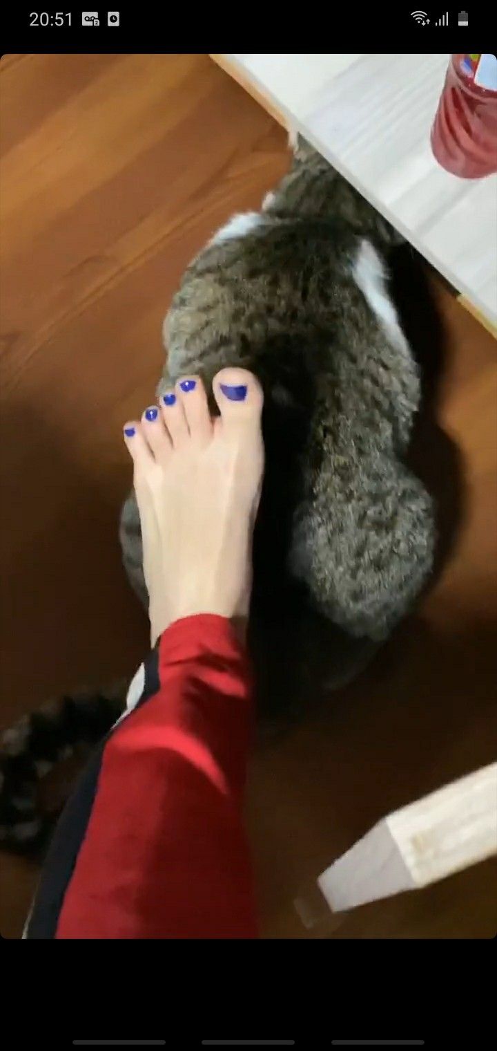 doarda feet 4