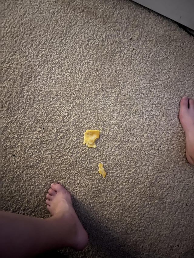 dogpuke feet 4