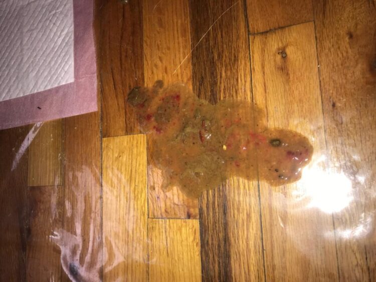 dogpuke feet 5