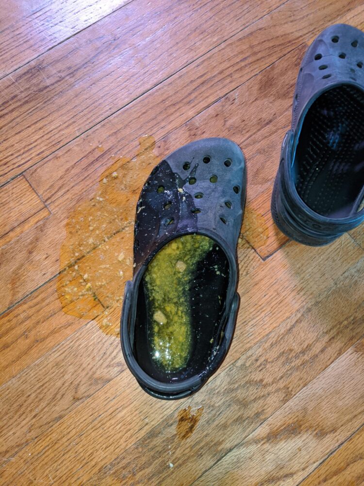 dogpuke feet 6 scaled