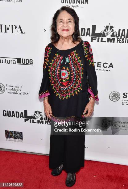 dolores huerta feet 3