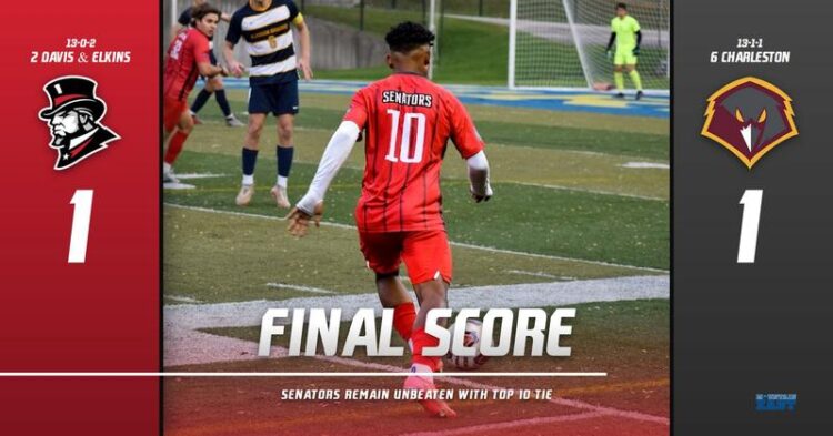 dominique castano feet 3