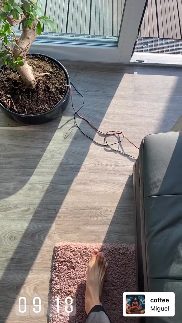 dominique janssen feet 1