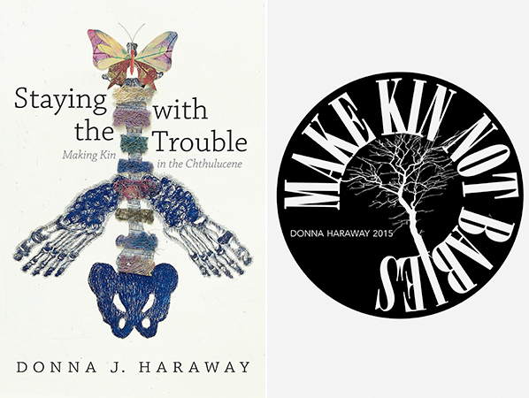 donna haraway feet 5