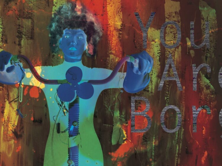 donna haraway feet 6