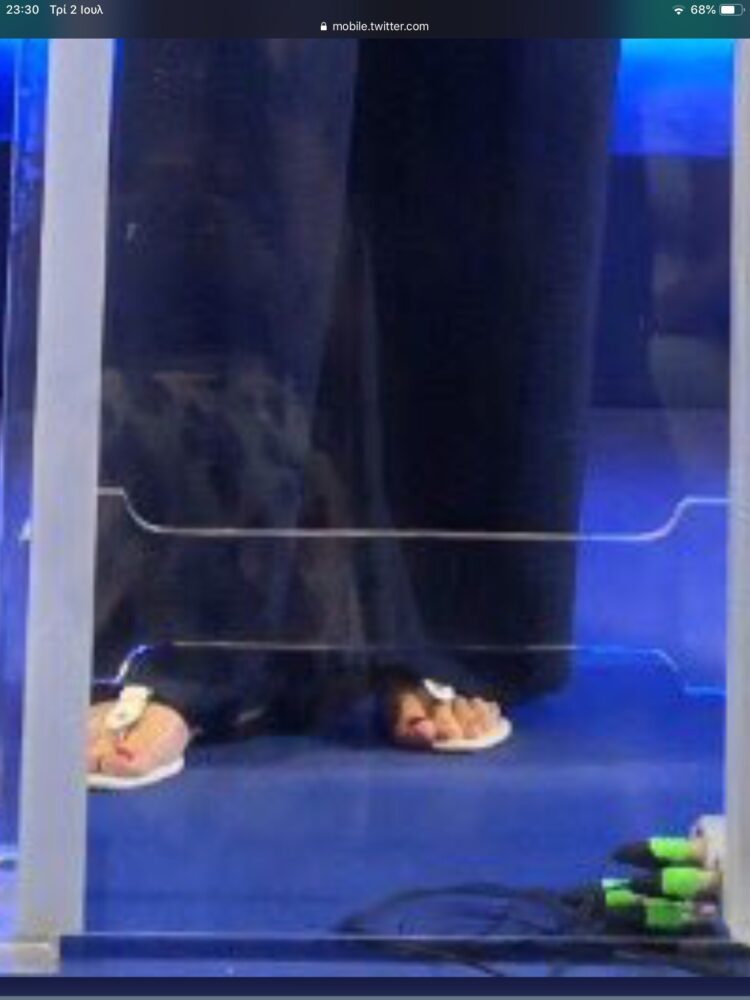 dora bakoyannis feet 3