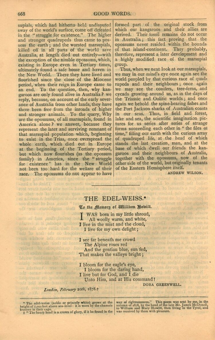 dora greenwell feet 6 scaled