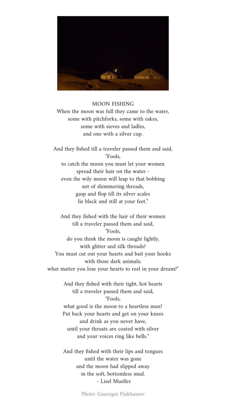 dorianne laux feet 1