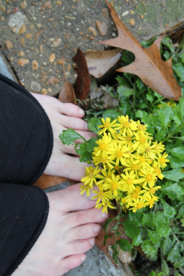 dorianne laux feet 5