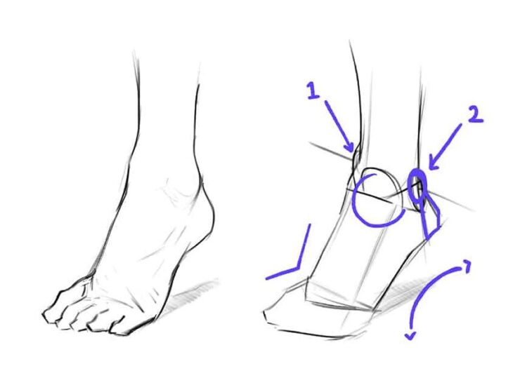 draw so cute feet 6