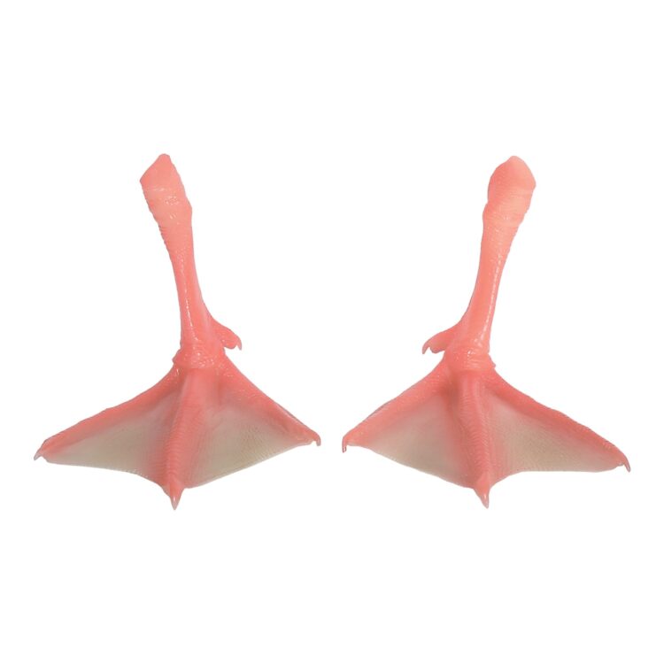 ducky feet 3 scaled