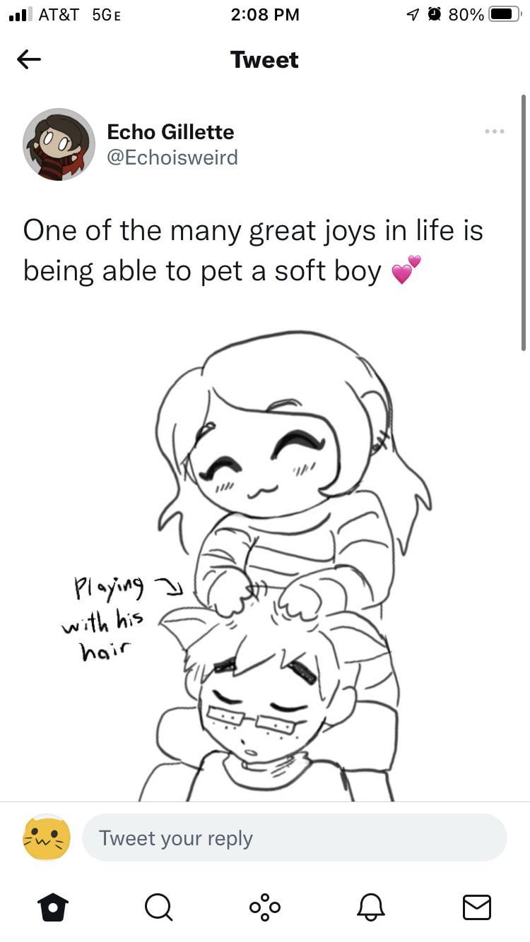 echo gillette feet 6