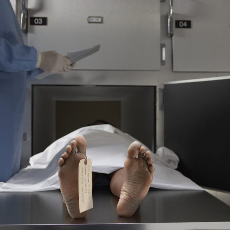 eileen hollis feet 4