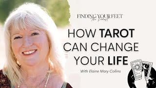 elaine collins feet 1