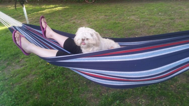 elaine victoria feet 2