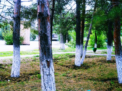 elena romanova feet 6