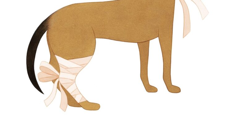 eleni kalorkoti feet 4