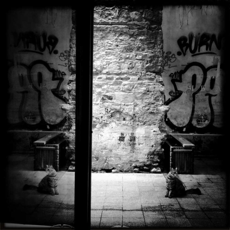 elif suyabatmaz feet 1