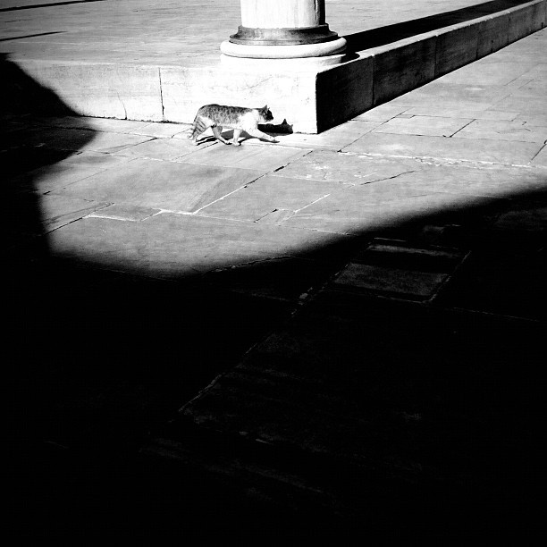 elif suyabatmaz feet 3