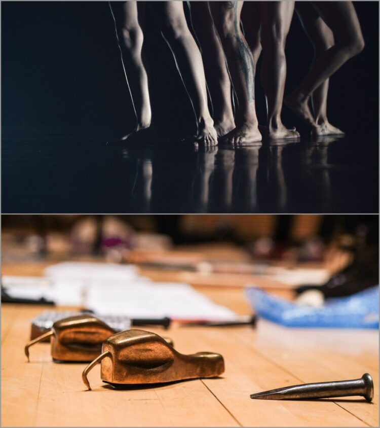 elinor lipman feet 6