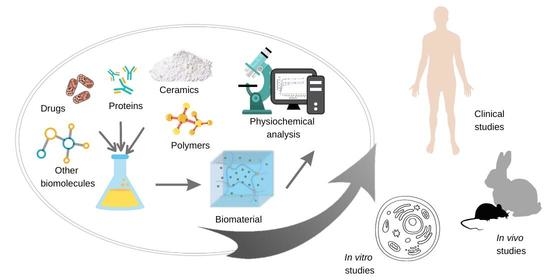 elisa sarubbi feet 6
