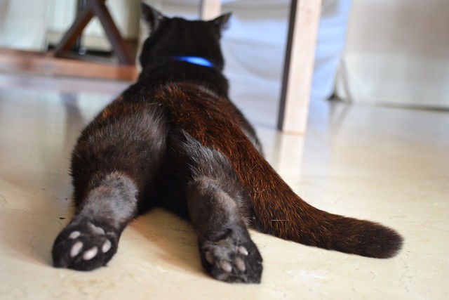 elisa serrano feet 2