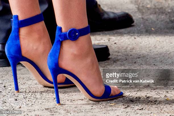 elisabeth donatella feet 1