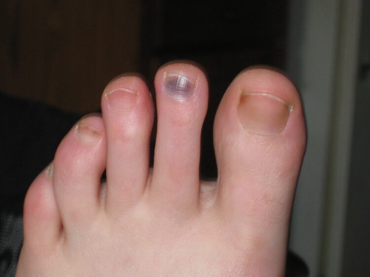 elizabeth bear feet 1