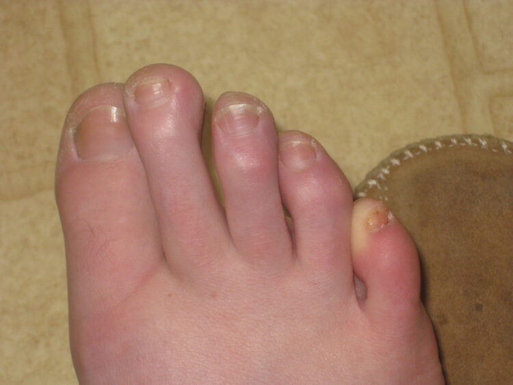 elizabeth bear feet 2