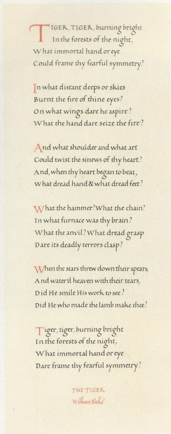 elizabeth daryush feet 3