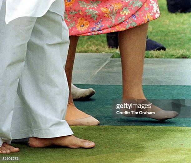 elizabeth franz feet 4