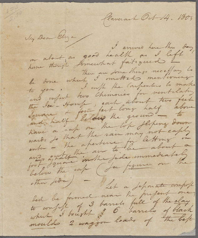 elizabeth hamilton feet 2