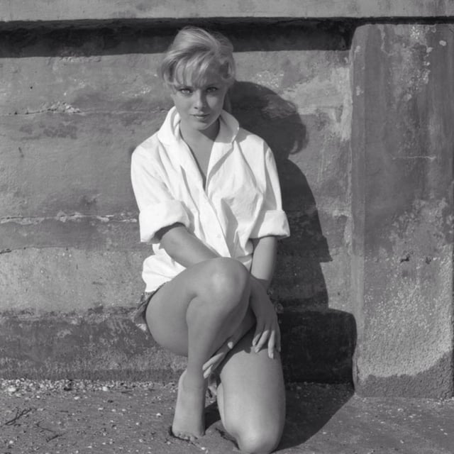 elizabeth lisi feet 6