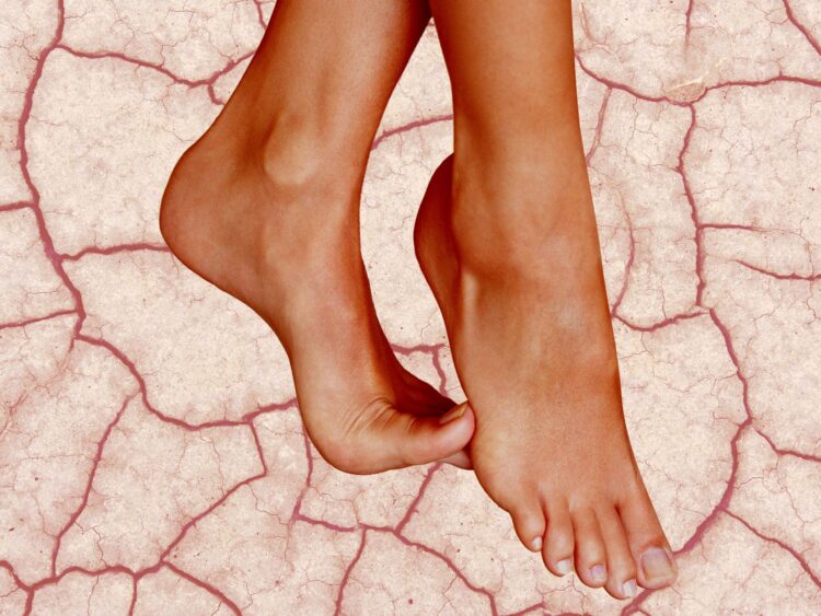 elizabeth root feet 5 scaled