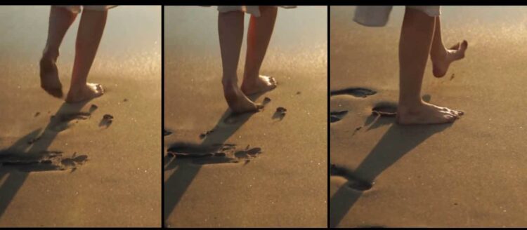 elizaveta khripounova feet 5