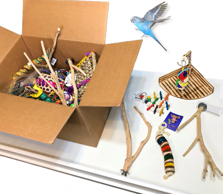 elle and the birds feet 1