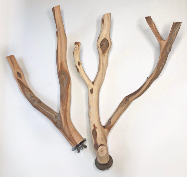 elle and the birds feet 3