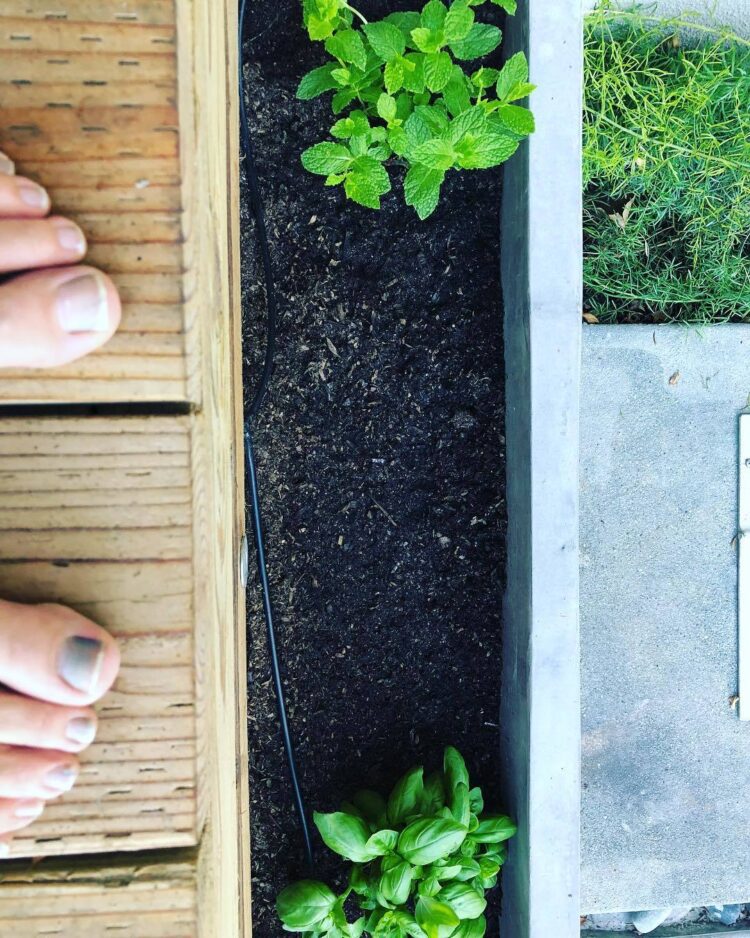 elle newlands feet 1