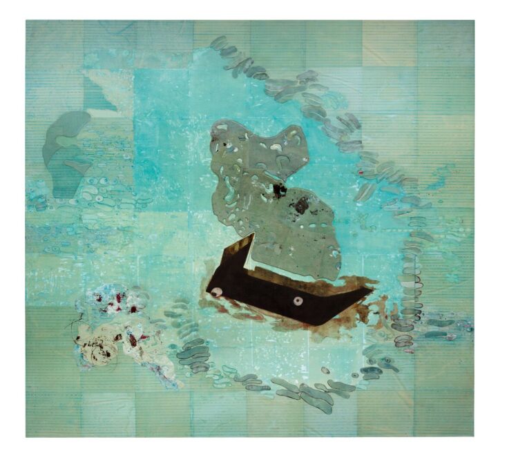 ellen gallagher feet 3