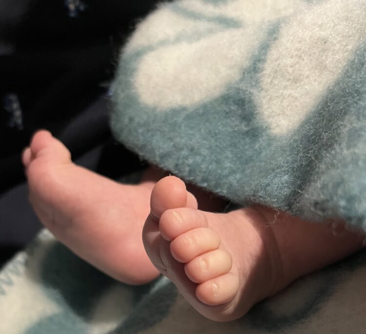 ellen van dijk feet 2