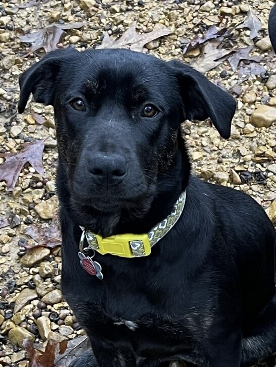 ellie lancasterr feet 5