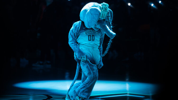 ellie tsai feet 5 scaled