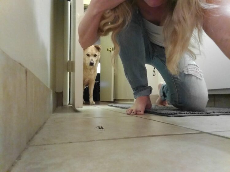 elyse willems feet 2