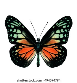 elza plieksane feet 5