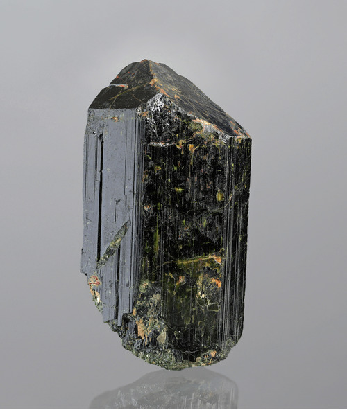 elza sterkhova feet 1